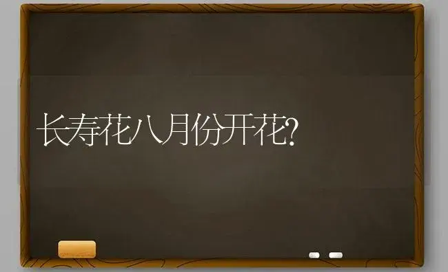 长寿花八月份开花？ | 多肉养殖