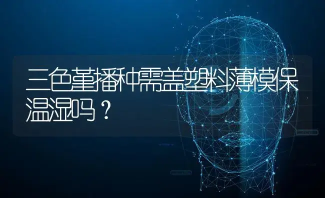 三色堇播种需盖塑料薄模保温湿吗？ | 绿植常识