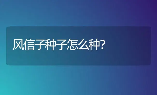 风信子种子怎么种？ | 绿植常识