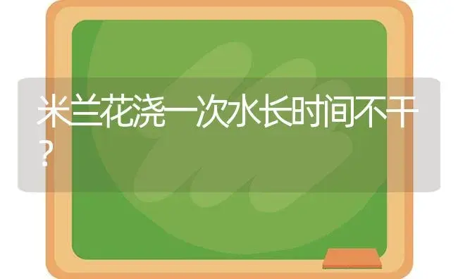 米兰花浇一次水长时间不干？ | 绿植常识