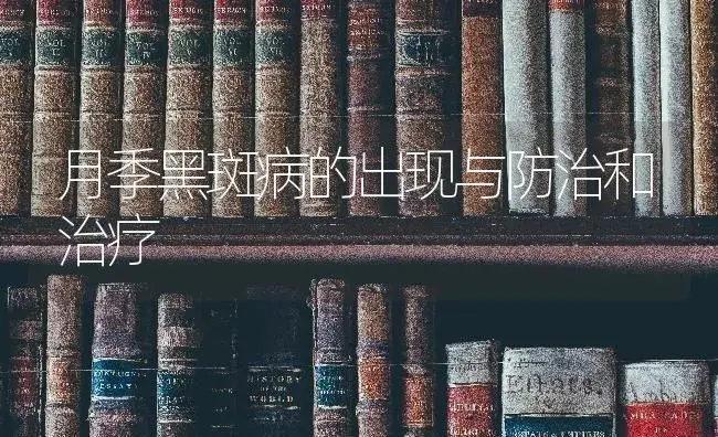 月季黑斑病的出现与防治和治疗 | 特种种植