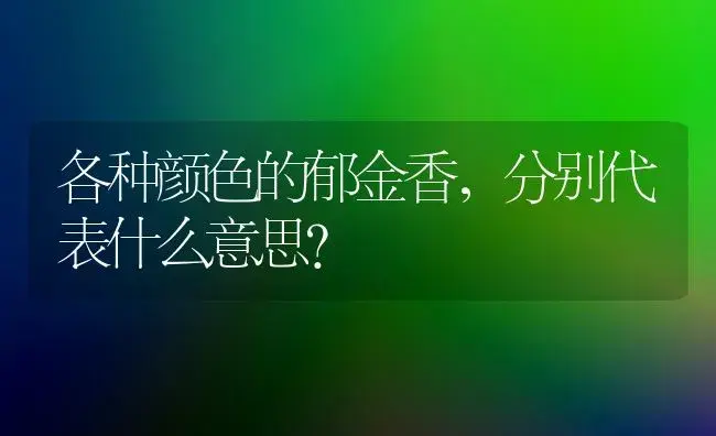 各种颜色的郁金香，分别代表什么意思？ | 绿植常识