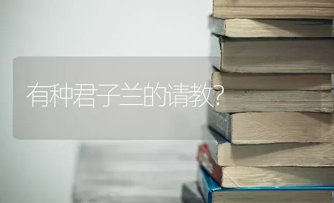 有种君子兰的请教？ | 绿植常识