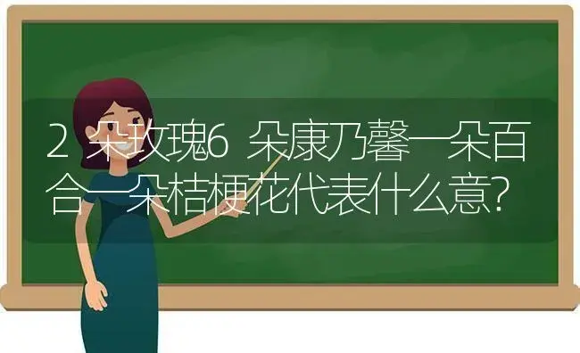 2朵玫瑰6朵康乃馨一朵百合一朵桔梗花代表什么意？ | 绿植常识