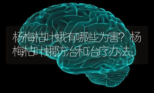 杨梅枯叶蛾有哪些为害？杨梅枯叶蛾防治和治疗办法； | 果木种植