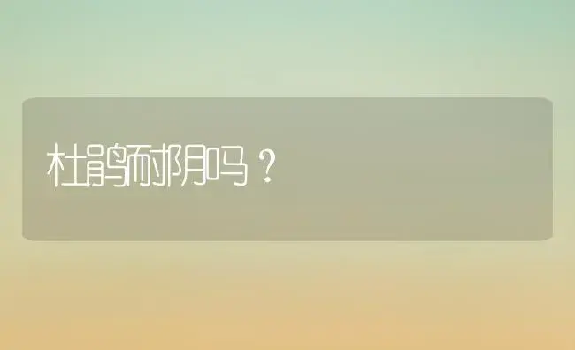 杜鹃耐阴吗？ | 绿植常识