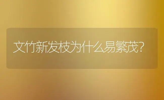 文竹新发枝为什么易繁茂？ | 家庭养花