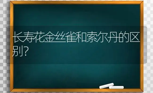 长寿花金丝雀和索尔丹的区别？ | 多肉养殖