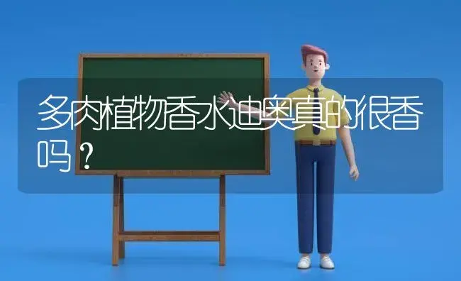 多肉植物香水迪奥真的很香吗？ | 多肉养殖