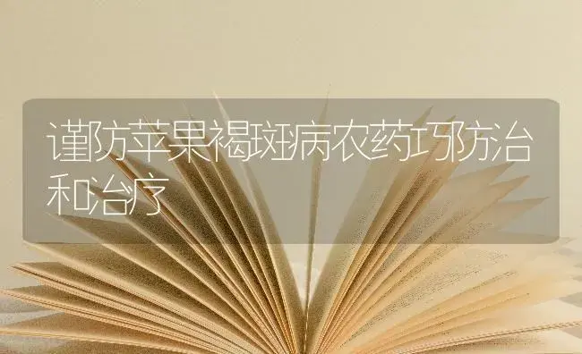 谨防苹果褐斑病农药巧防治和治疗 | 果木种植