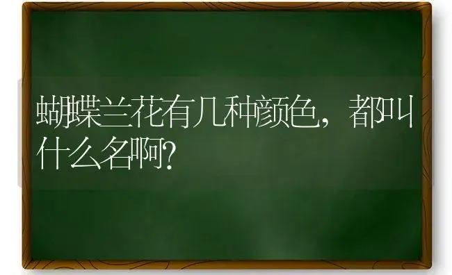 蝴蝶兰花有几种颜色,都叫什么名啊？ | 绿植常识