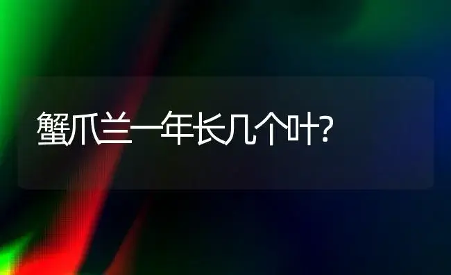 蟹爪兰一年长几个叶？ | 多肉养殖