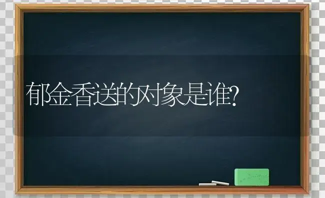 郁金香送的对象是谁？ | 绿植常识