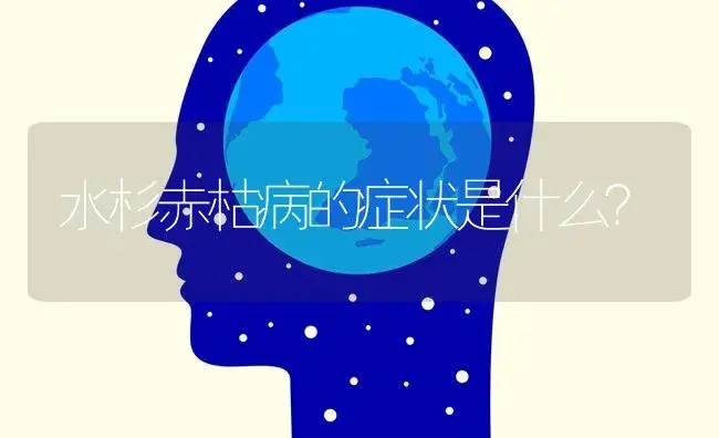 水杉赤枯病的症状是什么？ | 特种种植