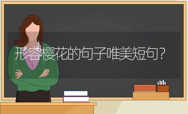 形容樱花的句子唯美短句？ | 绿植常识