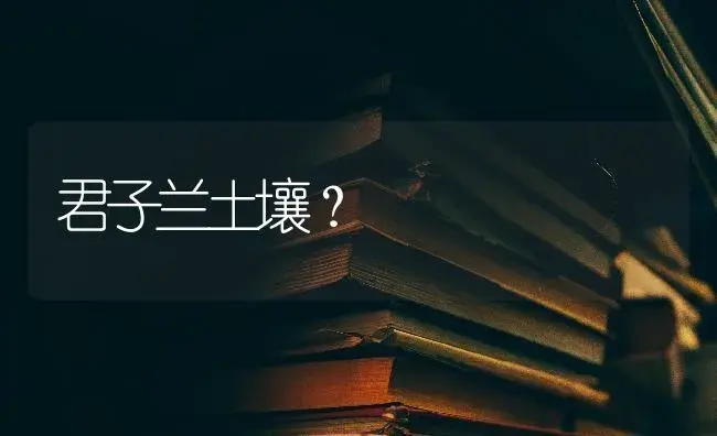 君子兰土壤？ | 绿植常识