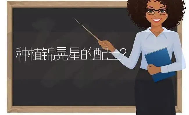 种植锦晃星的配土？ | 多肉养殖