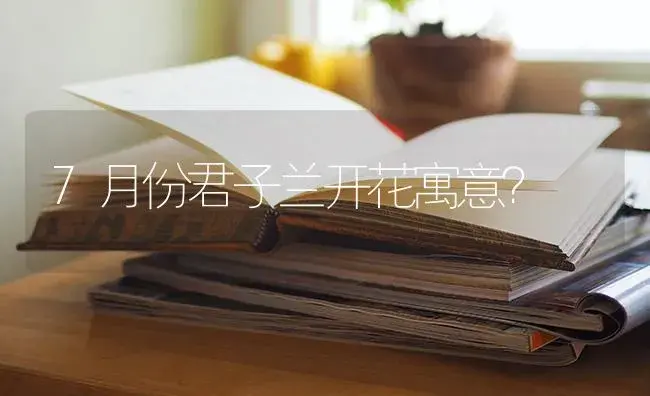 7月份君子兰开花寓意？ | 绿植常识