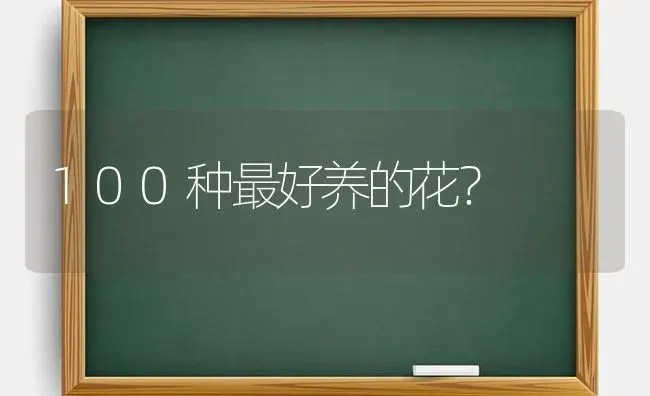 100种最好养的花？ | 多肉养殖