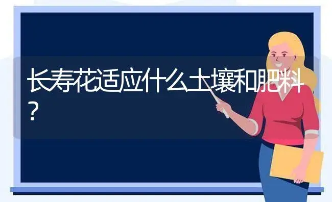 长寿花适应什么土壤和肥料？ | 多肉养殖