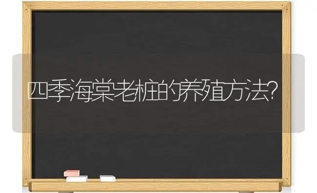 四季海棠老桩的养殖方法？ | 绿植常识