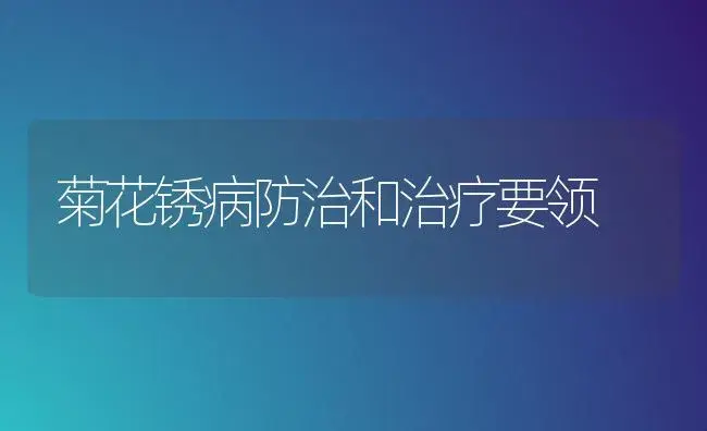 菊花锈病防治和治疗要领 | 家庭养花