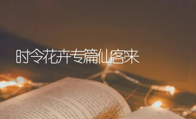 时令花卉专篇仙客来 | 特种种植