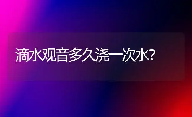 滴水观音多久浇一次水？ | 家庭养花