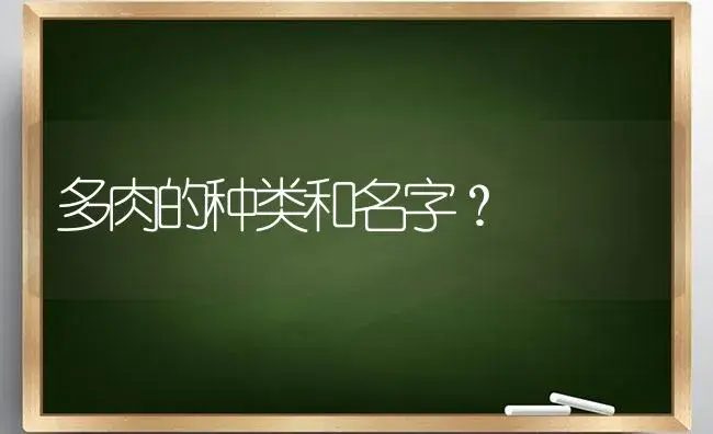 多肉的种类和名字？ | 多肉养殖