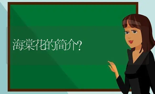 海棠花的简介？ | 绿植常识