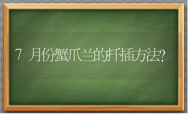 7月份蟹爪兰的扦插方法？ | 多肉养殖