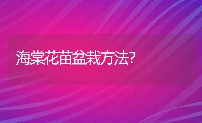 海棠花苗盆栽方法？ | 绿植常识