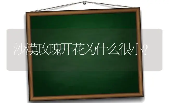 沙漠玫瑰开花为什么很小？ | 绿植常识