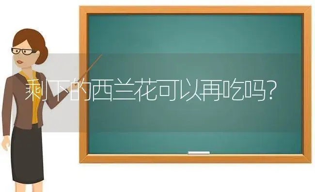 剩下的西兰花可以再吃吗？ | 绿植常识