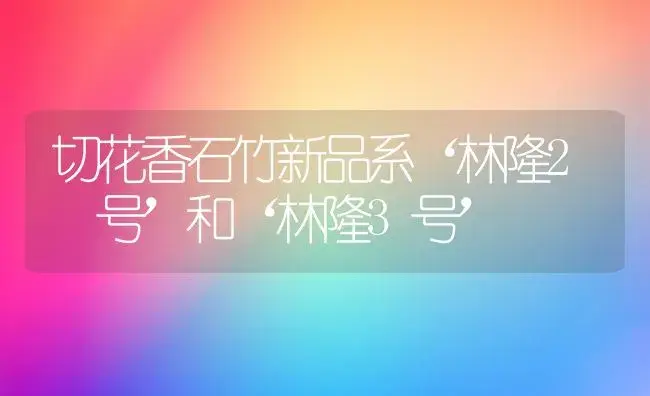 切花香石竹新品系‘林隆2 号’和‘林隆3号’ | 家庭养花