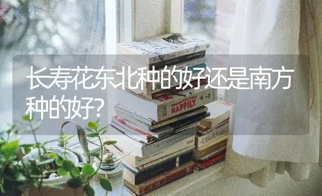 长寿花东北种的好还是南方种的好？ | 多肉养殖