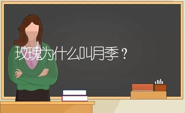 玫瑰为什么叫月季？ | 绿植常识