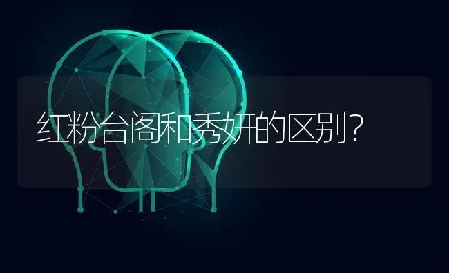 红粉台阁和秀妍的区别？ | 多肉养殖