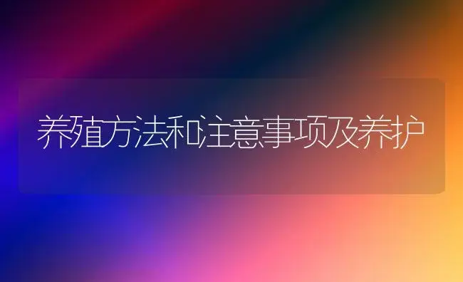 养殖方法和注意事项及养护 | 多肉养殖