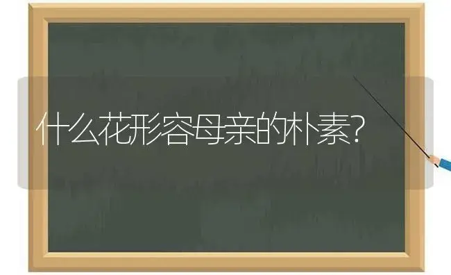 什么花形容母亲的朴素？ | 绿植常识