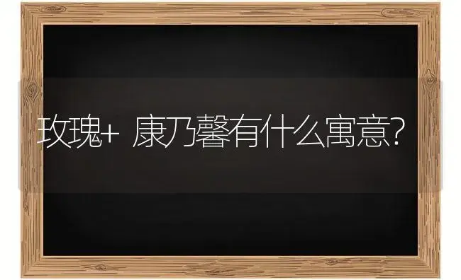 玫瑰+康乃馨有什么寓意？ | 绿植常识