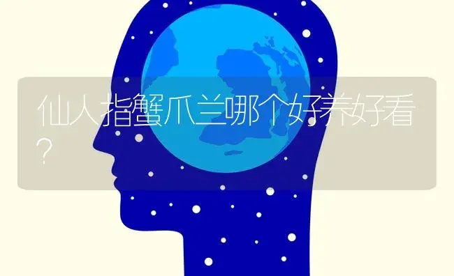 仙人指蟹爪兰哪个好养好看？ | 多肉养殖