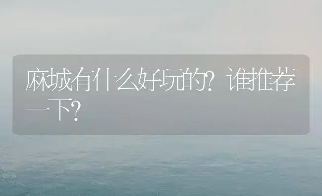 麻城有什么好玩的？谁推荐一下？ | 绿植常识