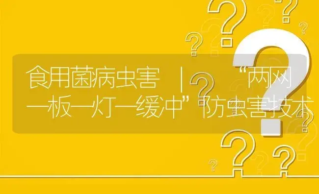 “两网一板一灯一缓冲”防虫害技术 | 菌菇种植