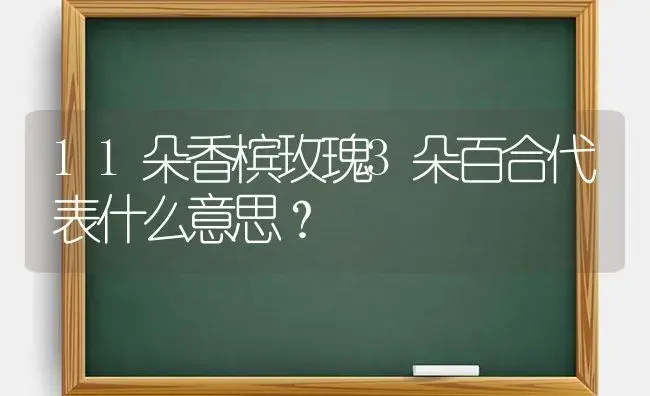 11朵香槟玫瑰3朵百合代表什么意思？ | 绿植常识