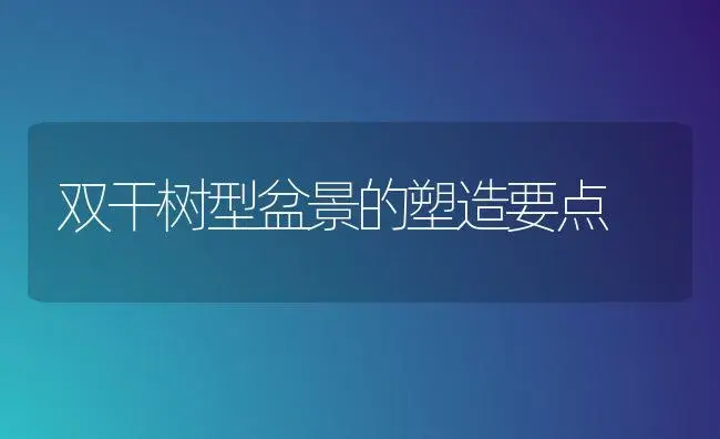 双干树型盆景的塑造要点 | 家庭养花