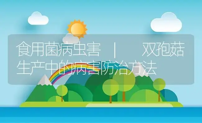 双孢菇生产中的病害防治方法 | 菌菇种植