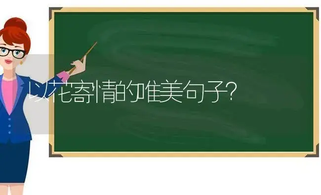 以花寄情的唯美句子？ | 绿植常识