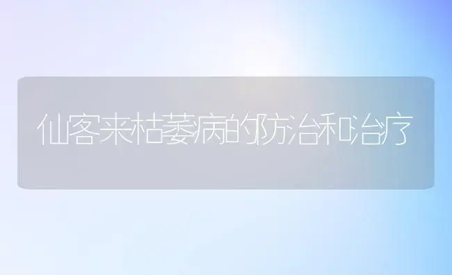 仙客来枯萎病的防治和治疗 | 家庭养花