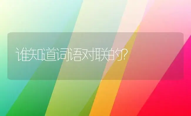 谁知道词语对联的？ | 多肉养殖